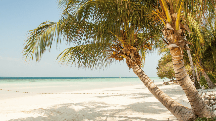 Consejos para afrontar el verano