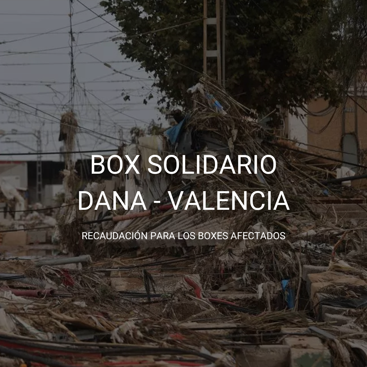 BOX SOLIDARIO DANA-VALENCIA